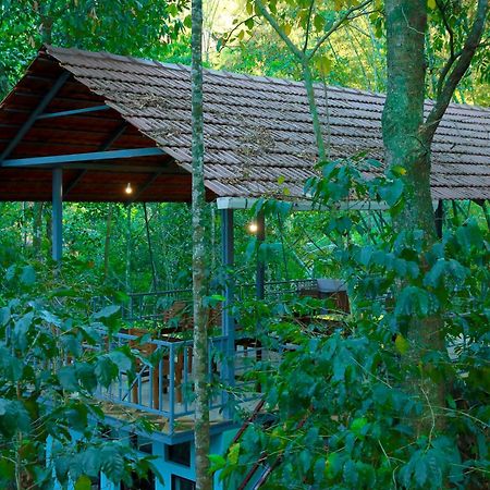 Snow Hills Resorts Thekkady Kültér fotó