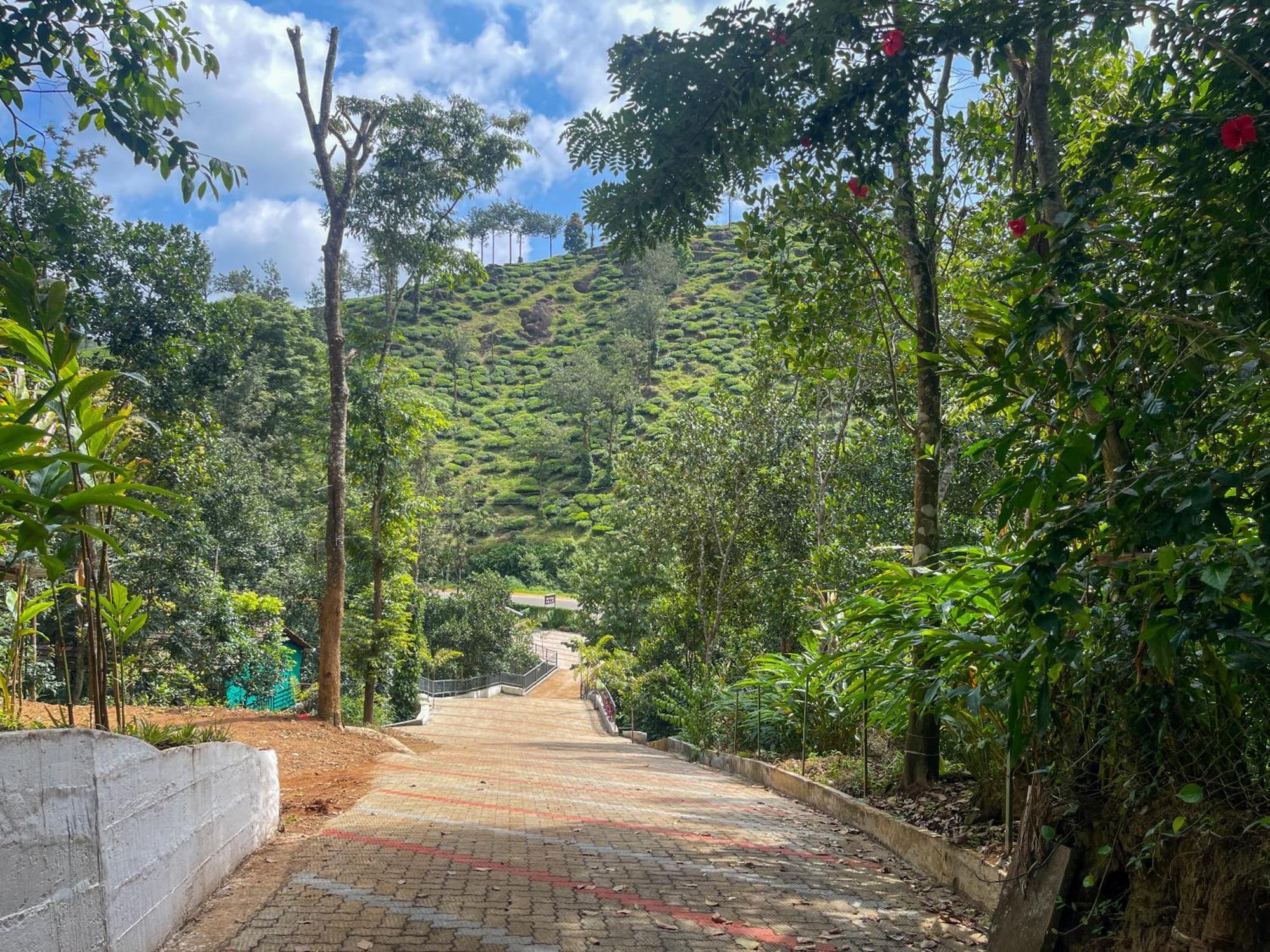 Snow Hills Resorts Thekkady Kültér fotó