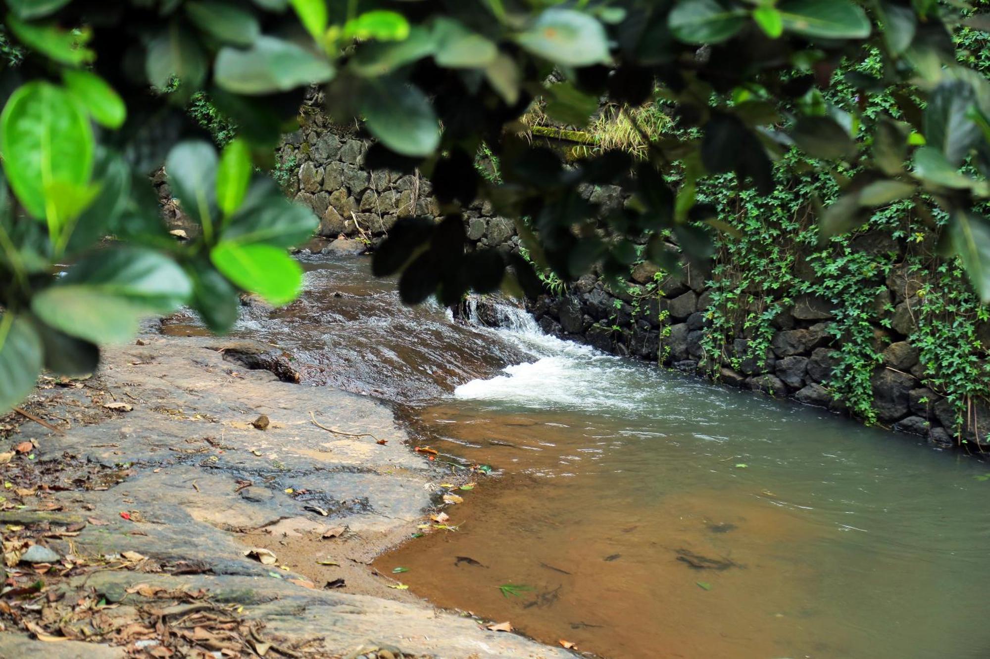 Snow Hills Resorts Thekkady Kültér fotó