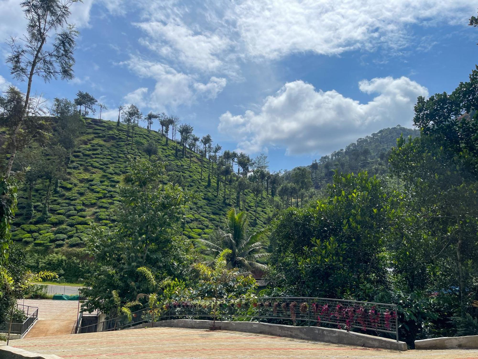 Snow Hills Resorts Thekkady Kültér fotó